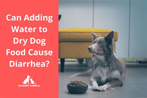 That said, many <b>dogs</b> with chronic <b>colitis</b> do just fine with a higher fat DM than 15%. . Can hydrolyzed dog food cause diarrhea